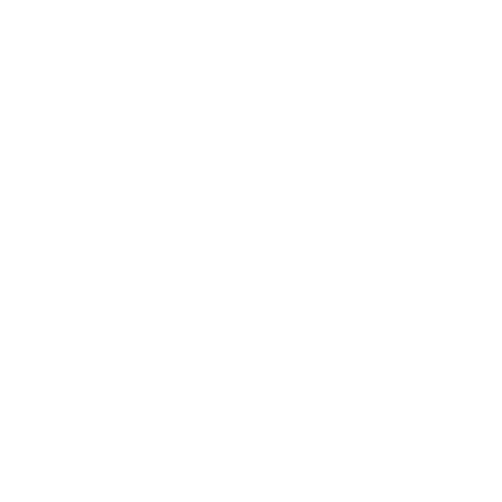 project evoluation
